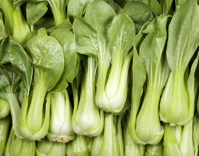 Paksoi.