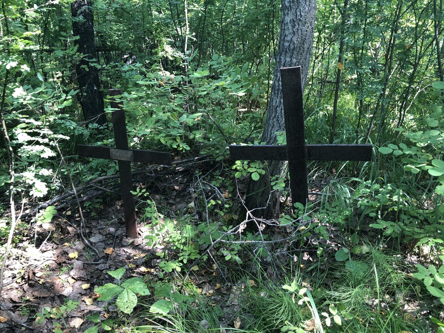 Eestlaste kalmistu Siberis Petrovski külas aastal 2019. Kokku leidsid Eestist tulnud haudade otsijad toona kümmekond risti, neist mõni ka nimeline: Lehes Juhan, Troska Karl, Tolmof Elviine.