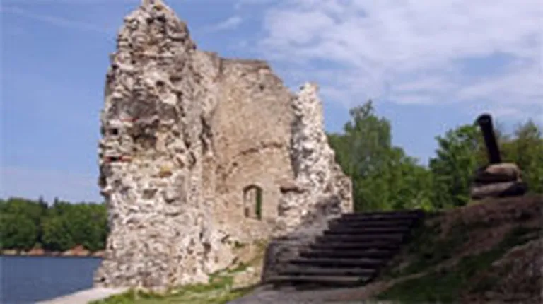 Raksta foto