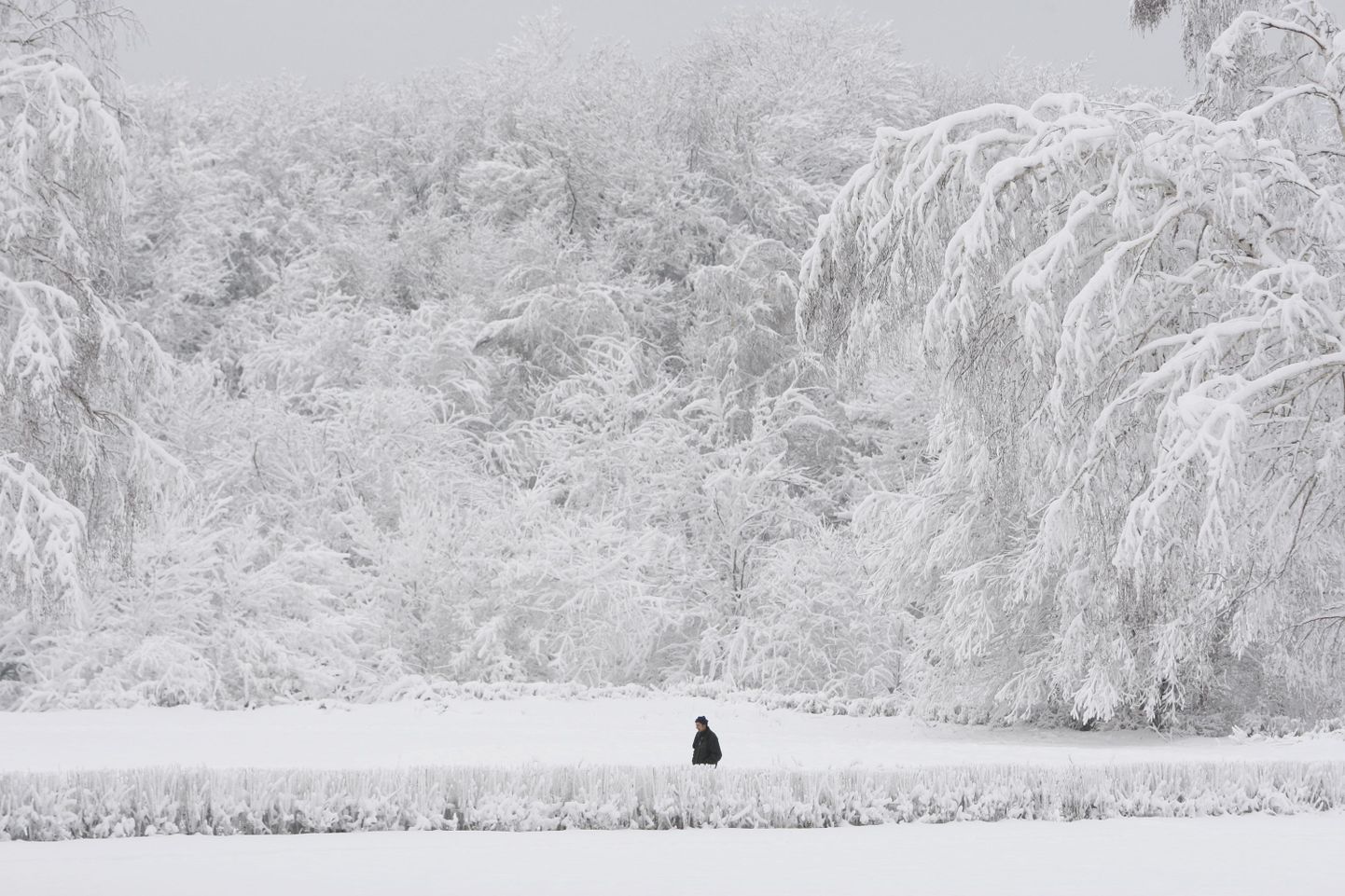 Lumine loodus Lõuna-Venemaal Stavropolis.