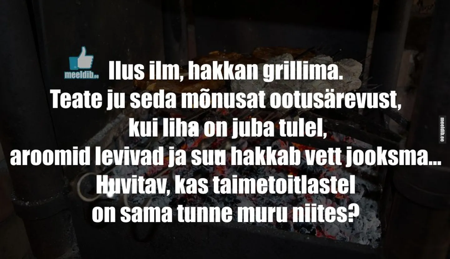 Artikli foto