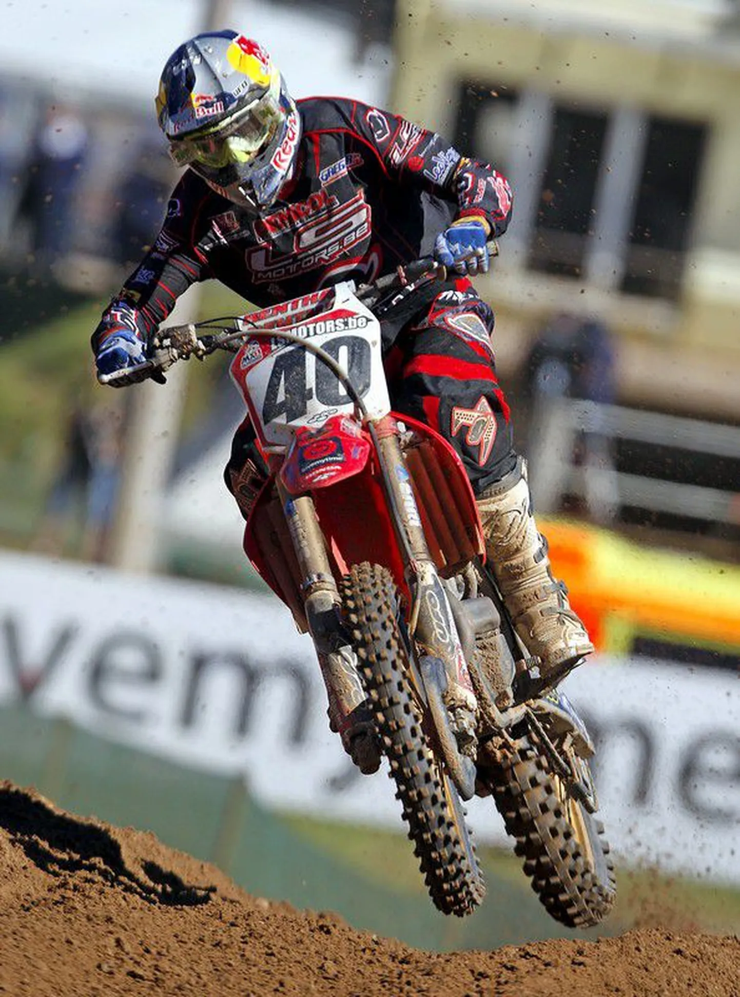 Tanel Leok.