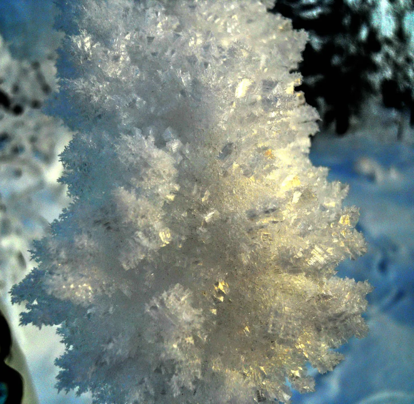20.02.2010. Vasara tänav ja Kurepalu, külma umbes -25c.