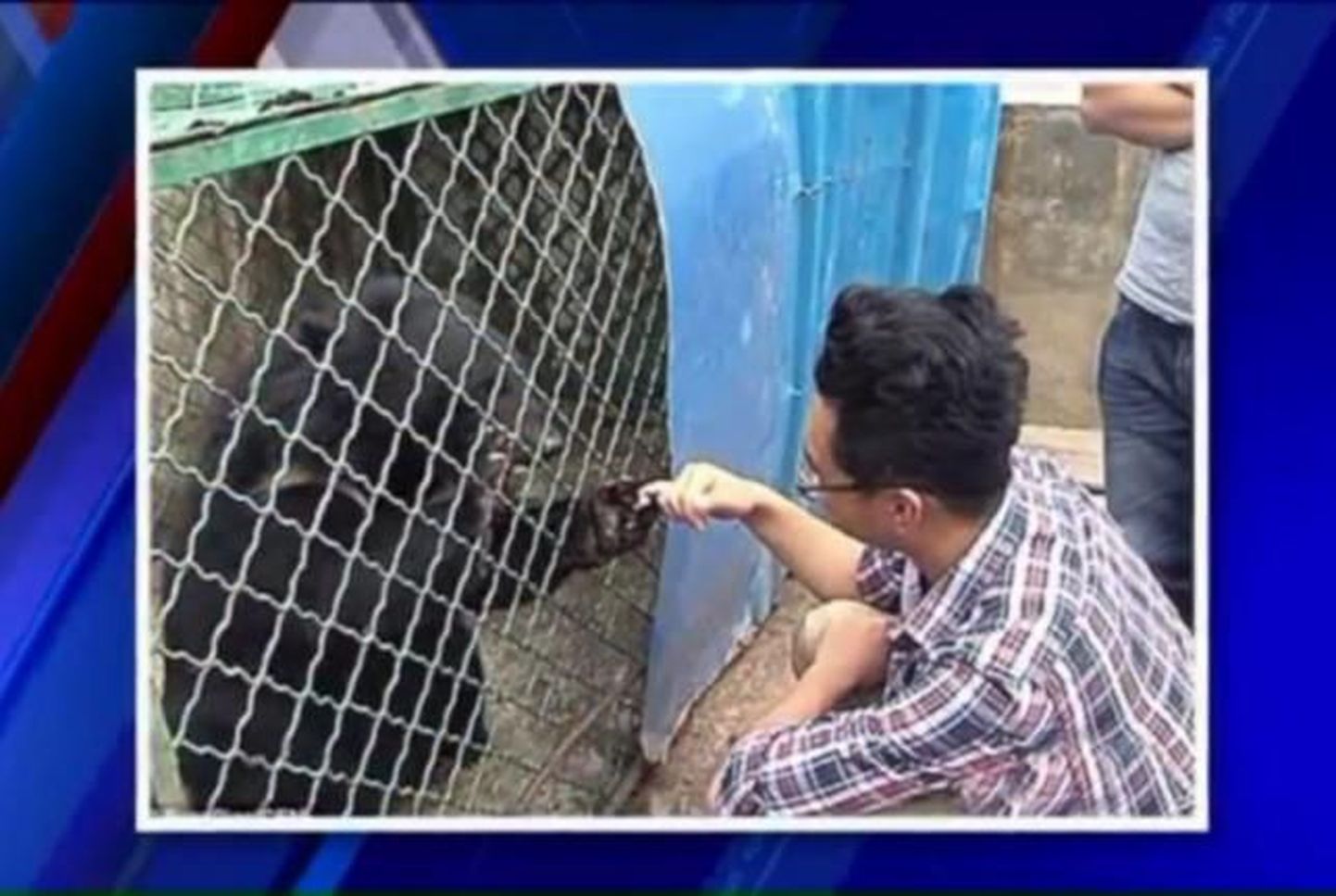 Hiinlane, kes ostis enda teada kaks koerakutsikat, avastas lõpuks, et tegelikult olid tema lemmikloomadeks olnud ohustatud liigist aasia musta karu pojad