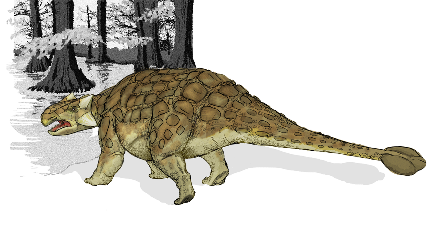 Ankülosaurus