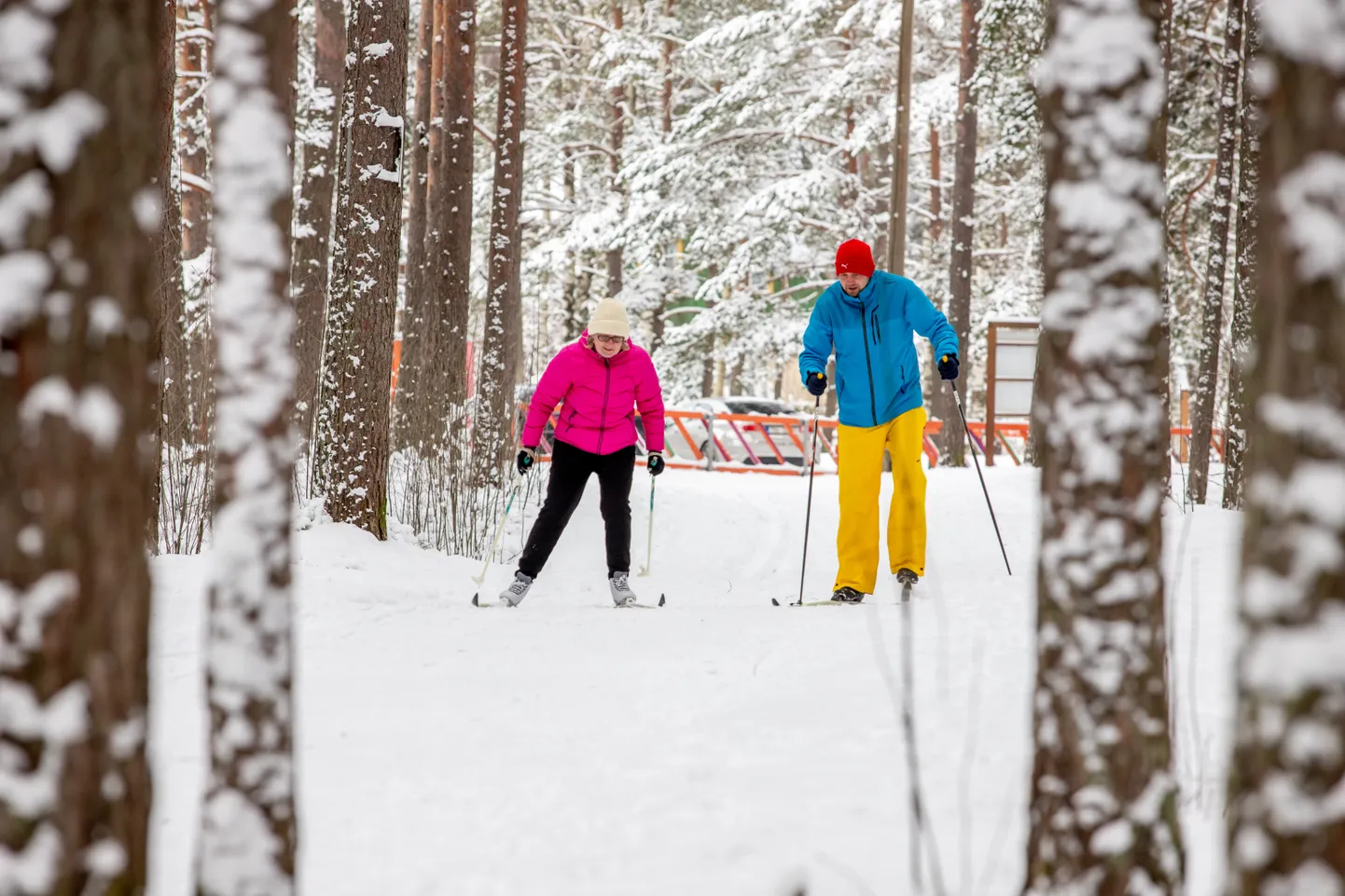 Pärnu 14JAN21 Raeküla, suusatamine, suusarajad, talisport, talv ,lumi, tervisesport.