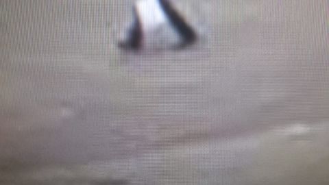 VIDEO ⟩ Turpinās bezvēsts pazudušā Jevgēnija Vorobjova meklēšana