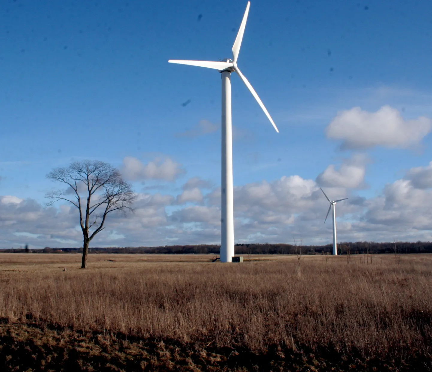 Tuuleenergia tootjad teenivad järjest vähem.