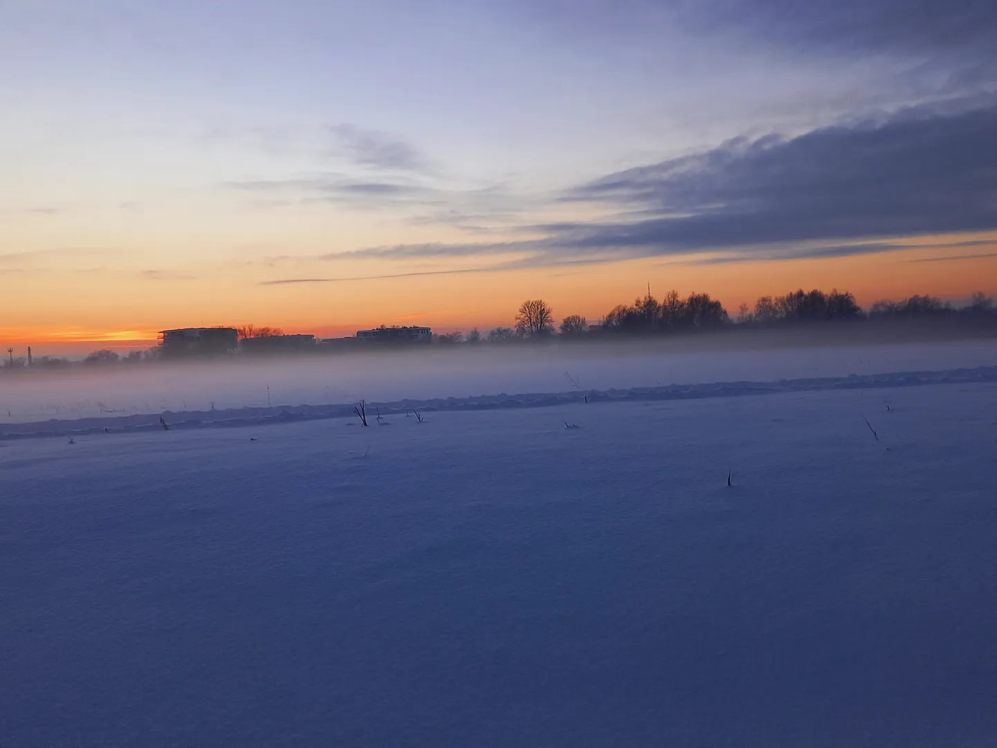 Eestis paugub pakane.