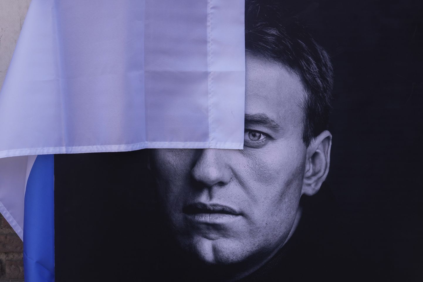 Aleksei Navalnõi portree Madridis Vene saatkonna juures.