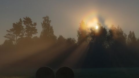Paides toimub loodusvaatluste maraton