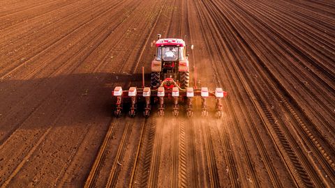 Ekonomikas ministrija brīdina par Tuvo Austrumu konflikta ietekmi uz lauksaimniecību un pārtikas ražošanu