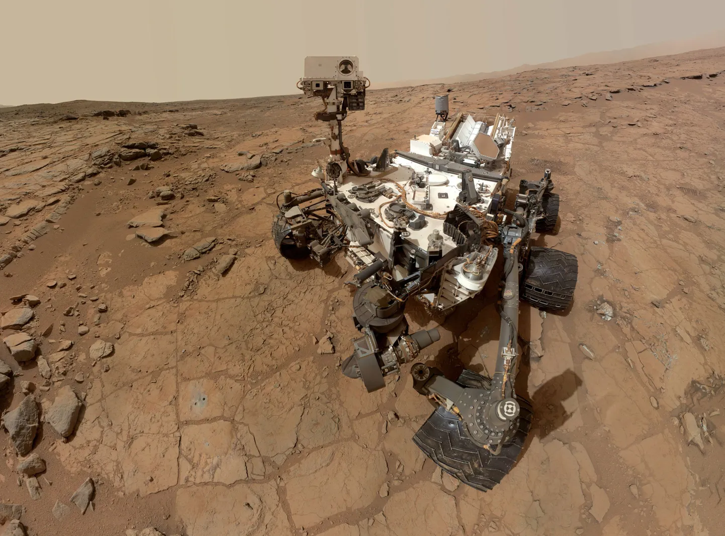 Kulgur Curiosity