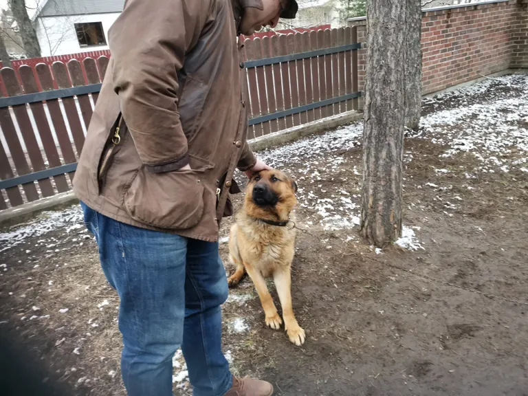 Ларс в новом доме.