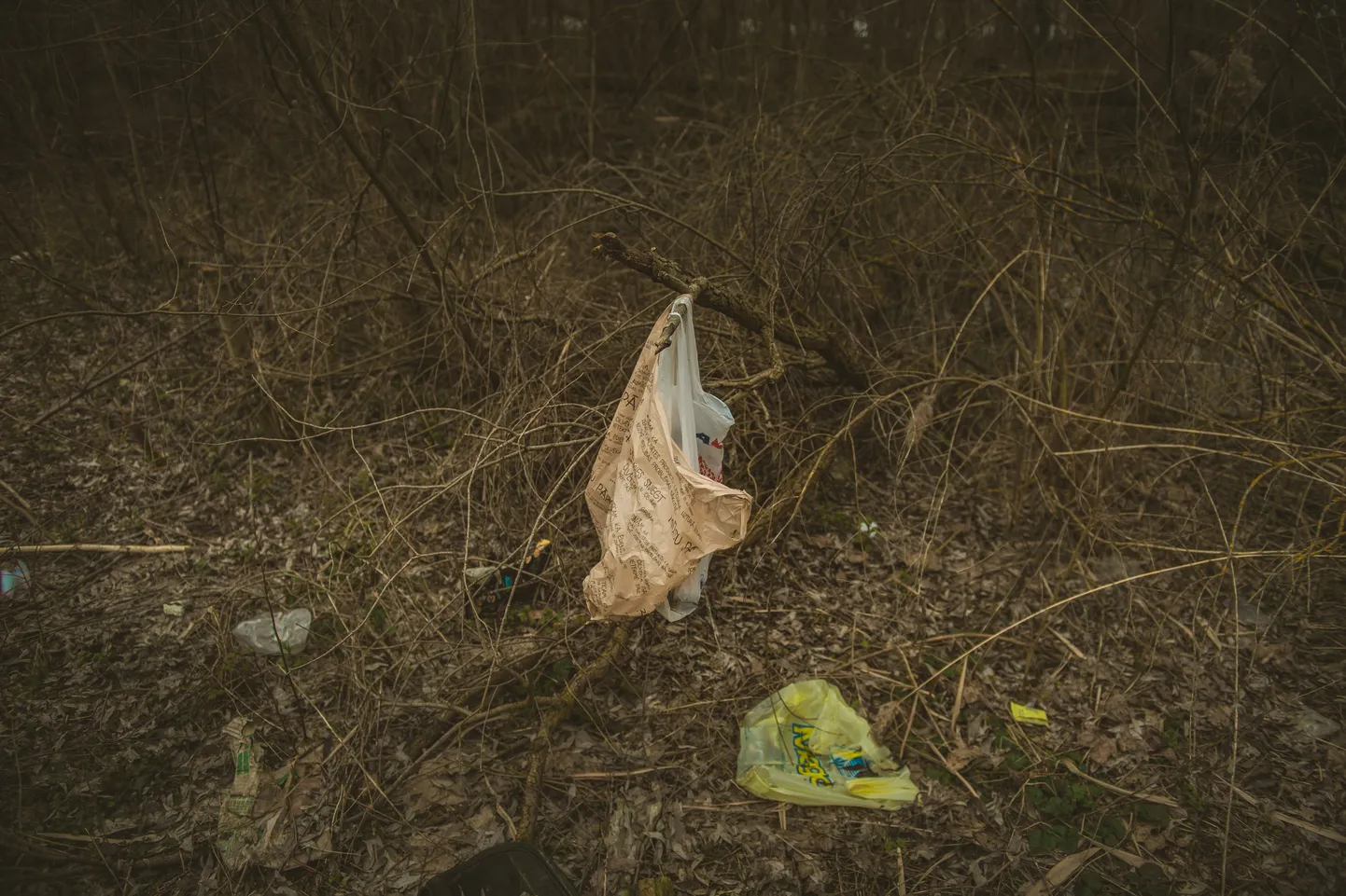Foto: Pumpuri, atkritumi un kautrīgs bezpajumtnieks Zaķusalā