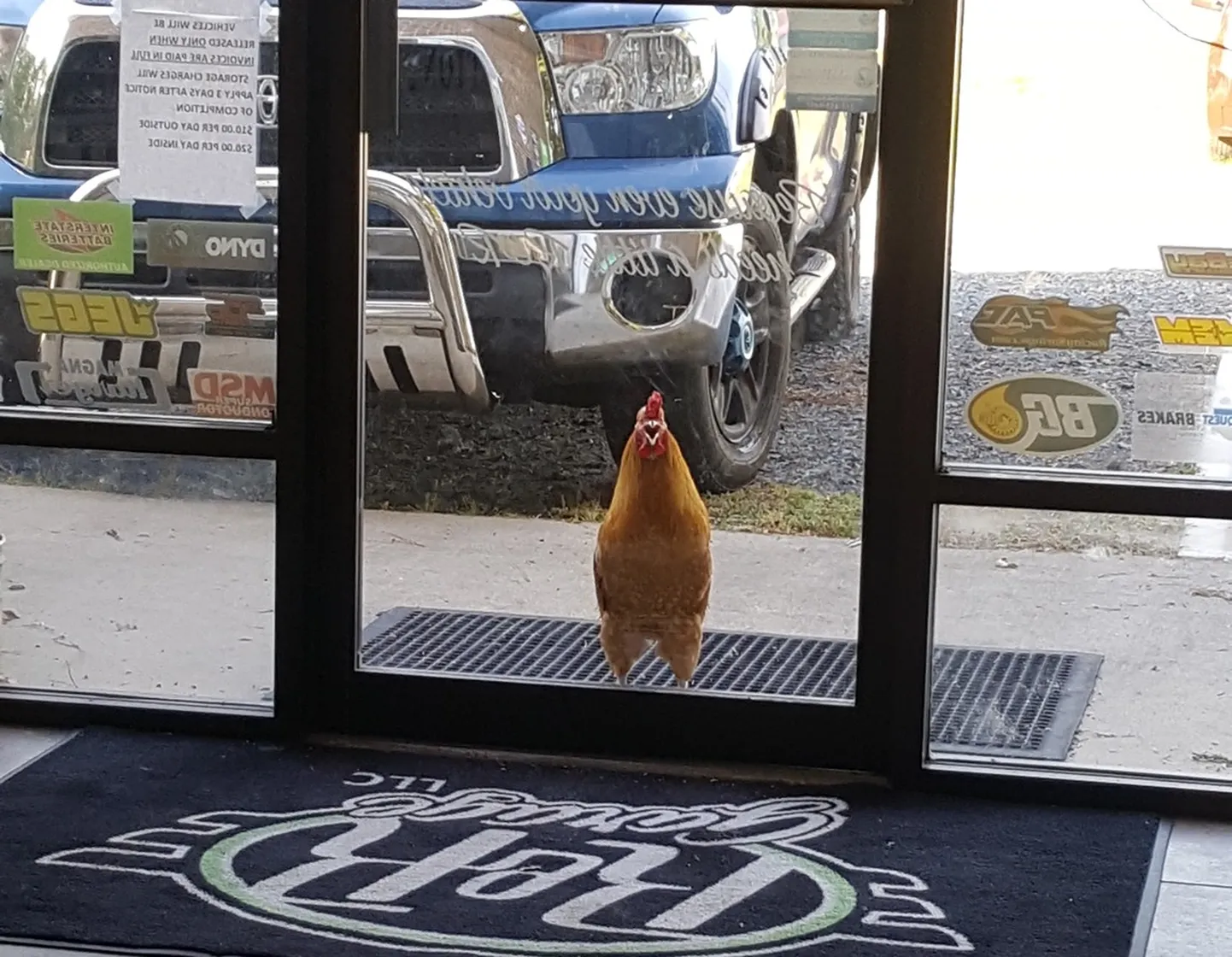 Earl autotöökoja ukse taga.