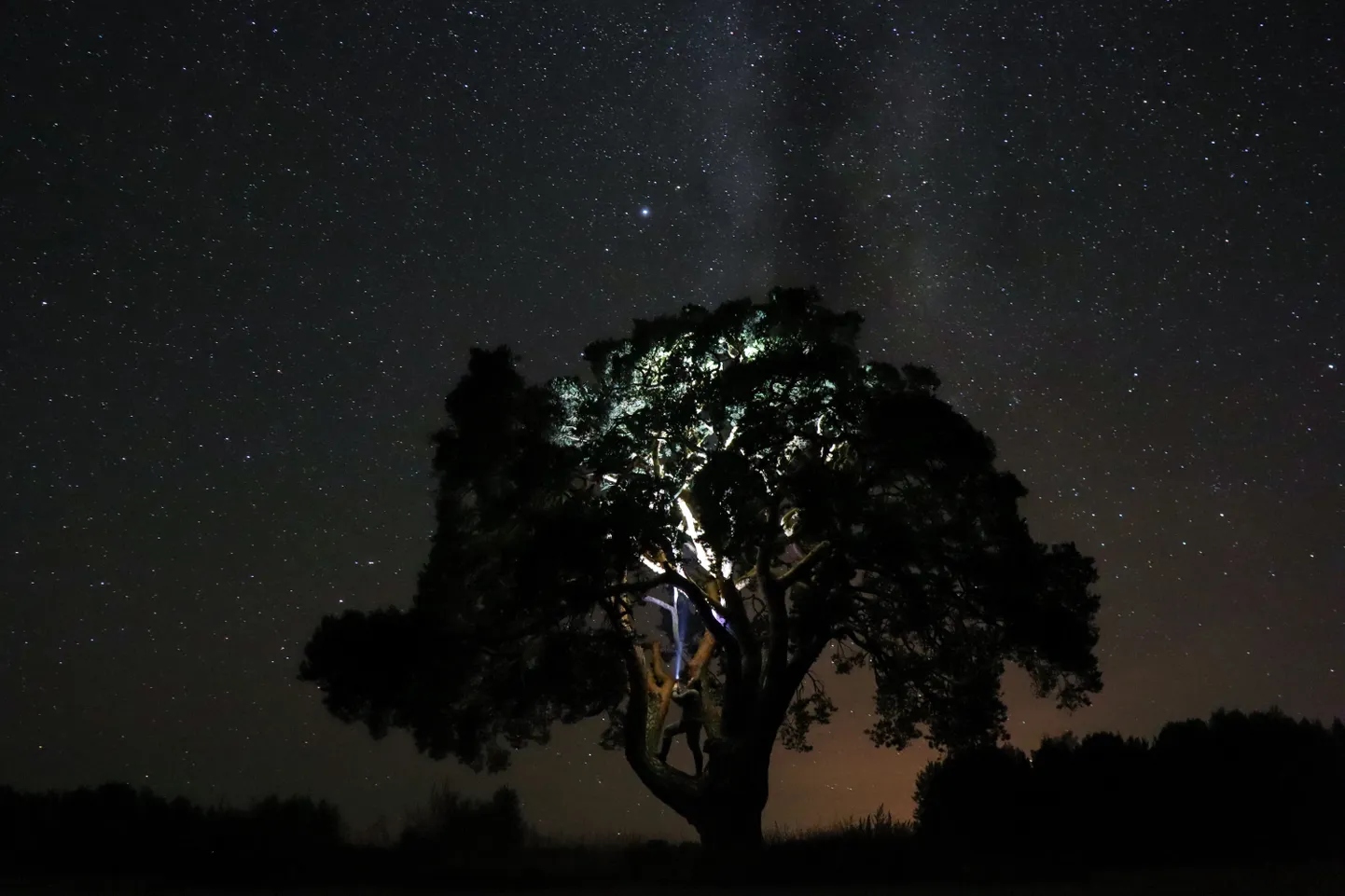 2019. aasta Tartu tähetorni astrofotokonkursi võidutöö tähistaeva kategoorias 13-18aastaste vanuserühmas.