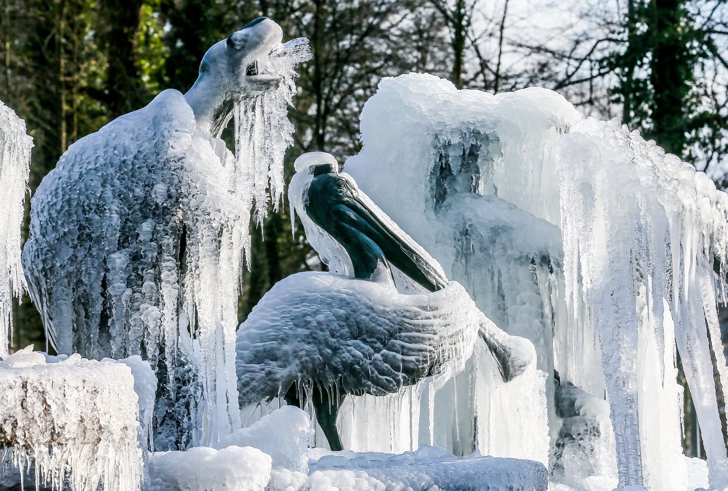 Замерзший фонтан в Тервюрене, Бельгия. Февраль 2018 года