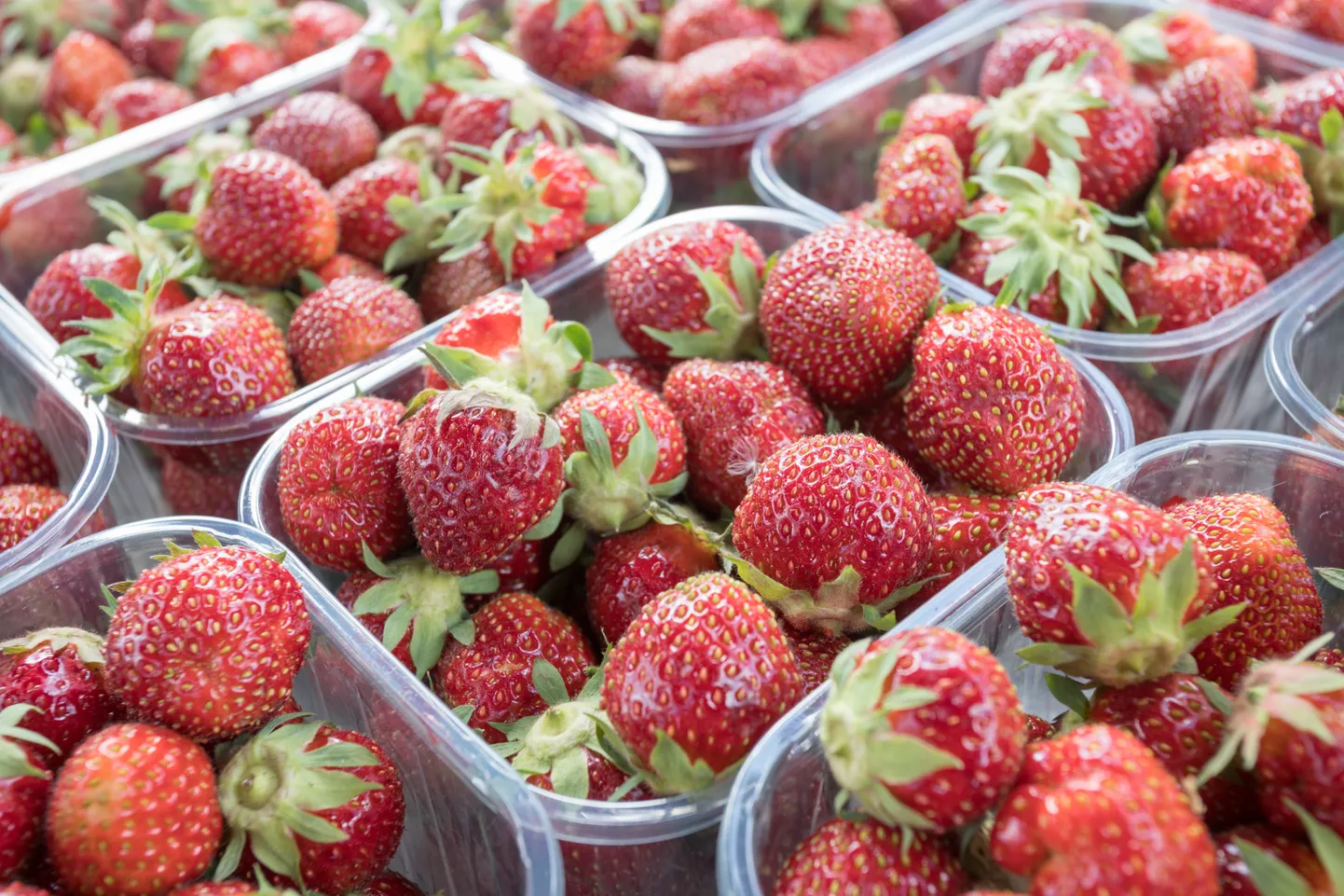 Hooaja esimesed maasikad turul müügil.