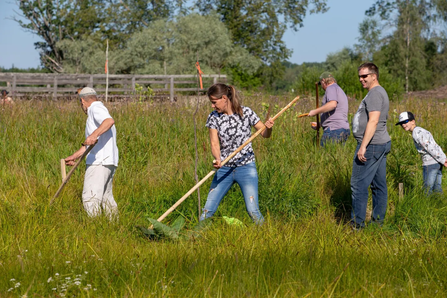  Võistlejad peavad heina niitma umbes poole hektari suurusel luhal Soomaal.