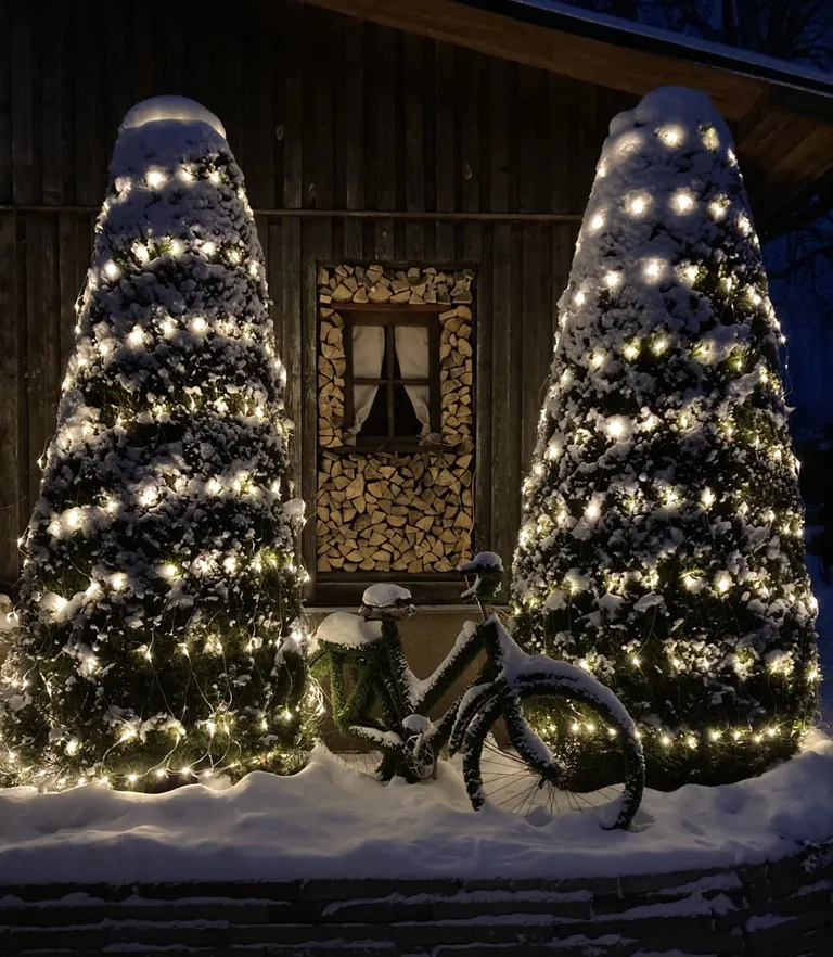 Valgusehtes elupuud.