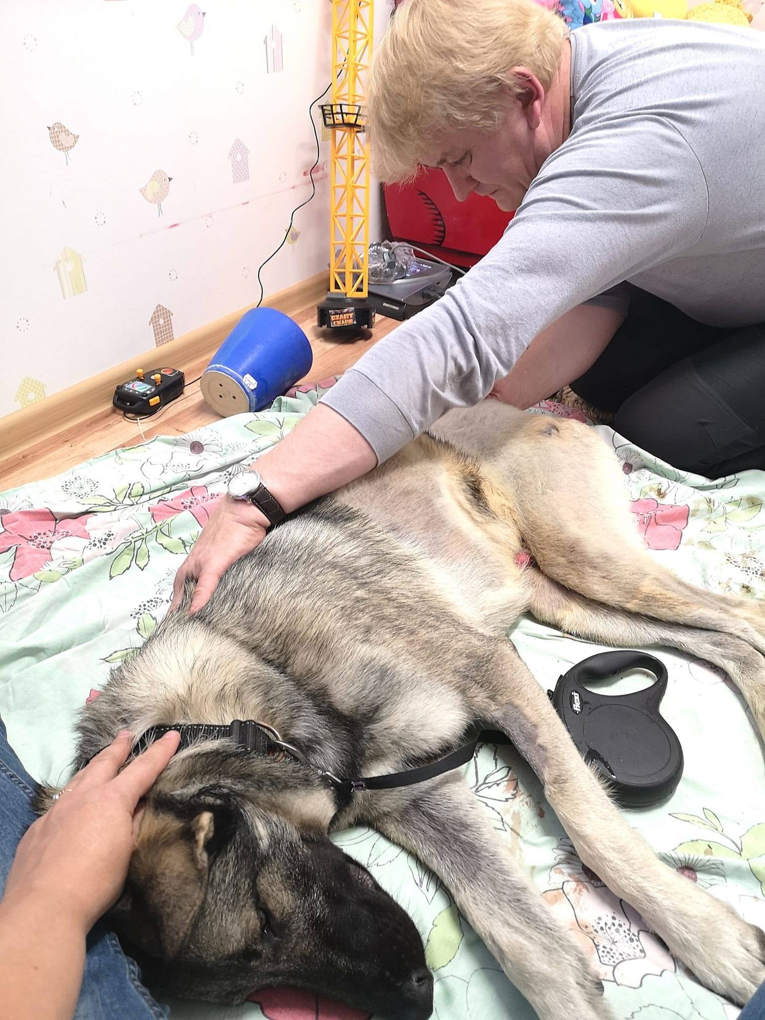 Hundu-Ruudi.