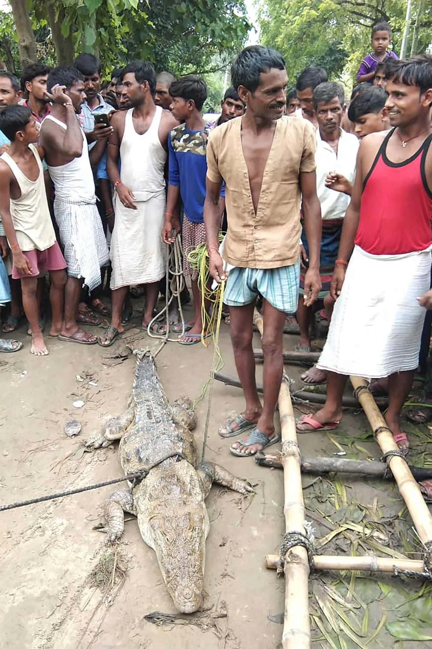 India põhjaosas Uttari osariigis Mdania külas kinni võetud krokodill.