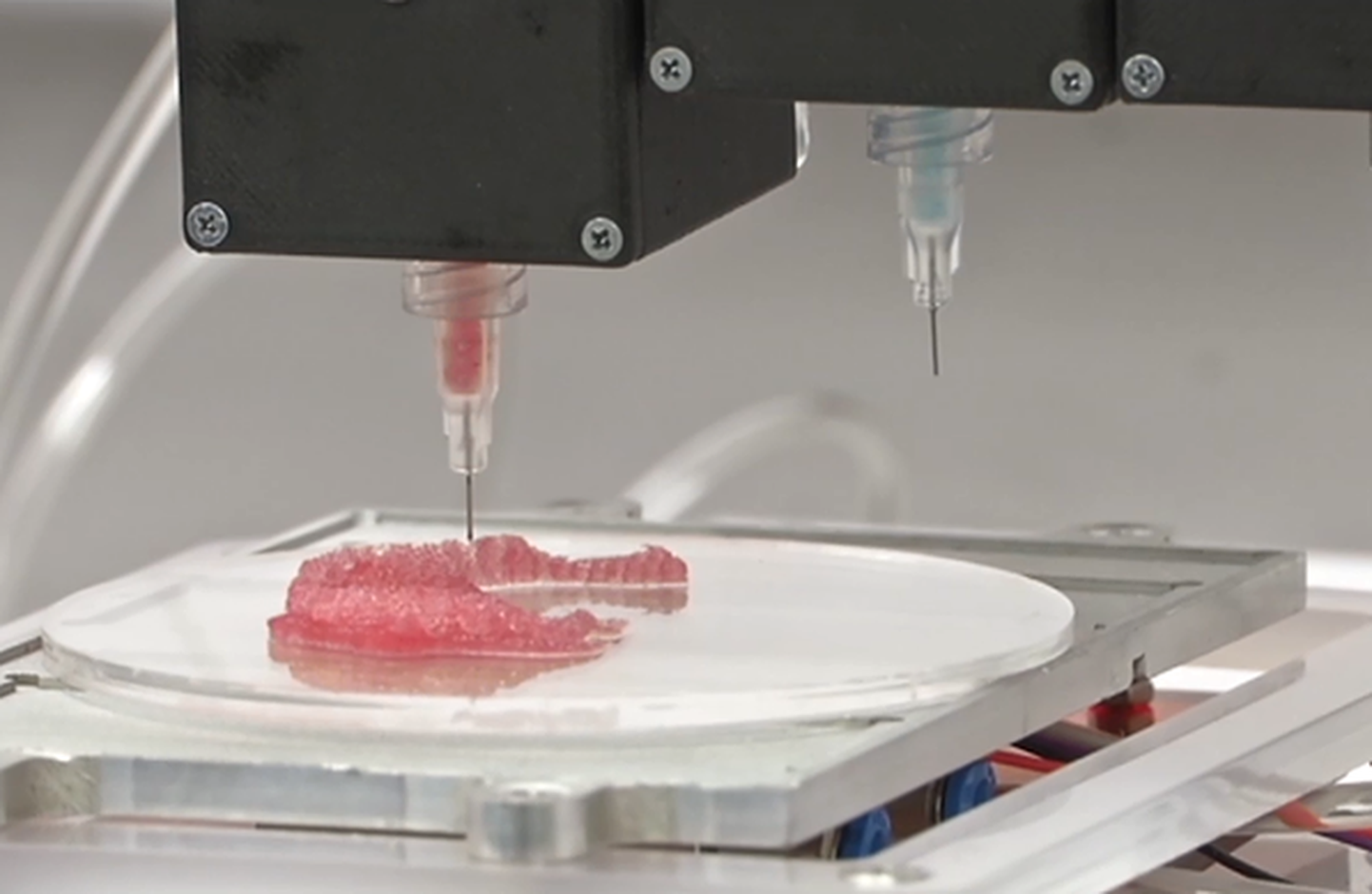 Printer kasutab elusatest rakkudest valmistatud «tinti».