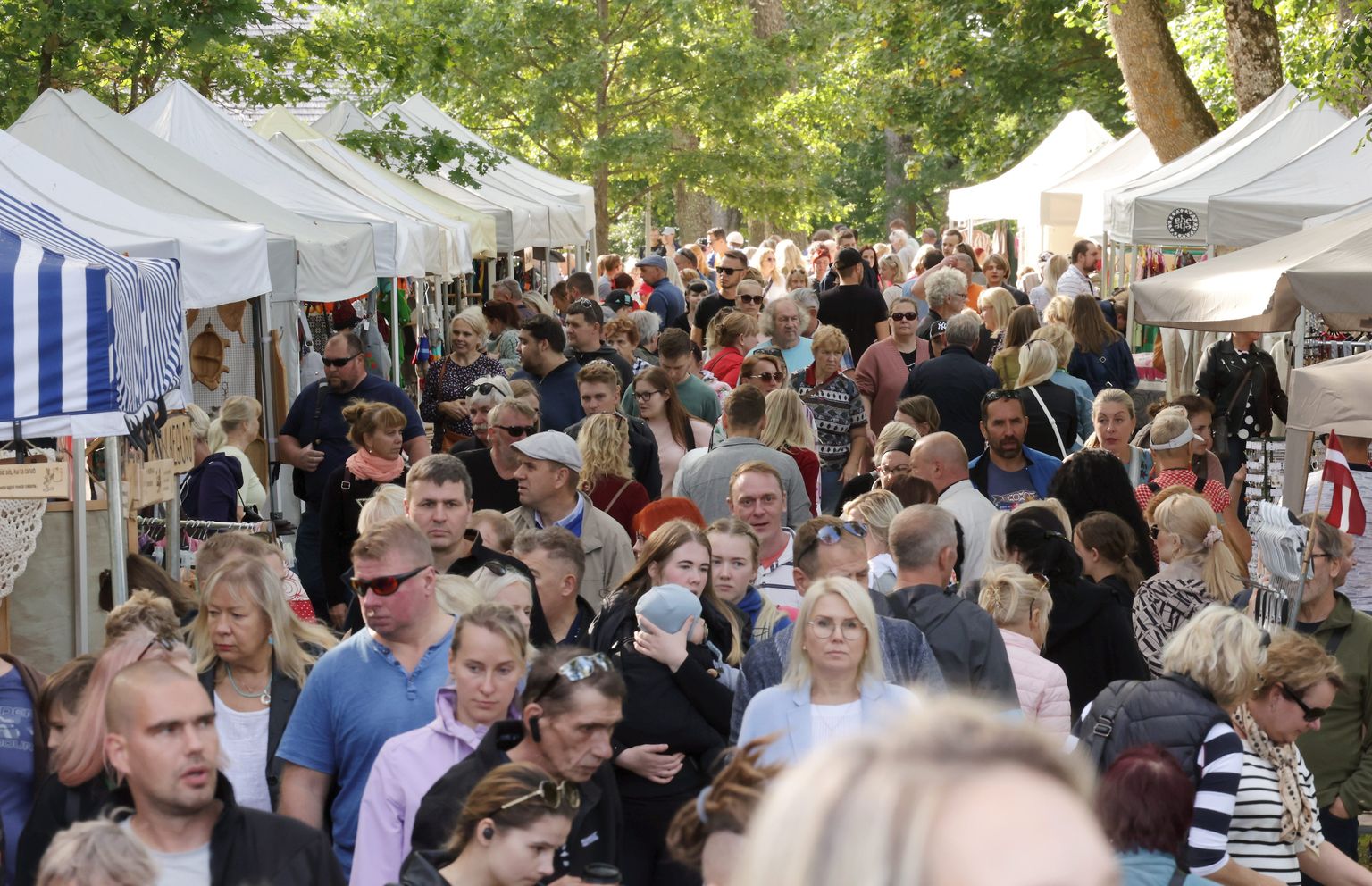 16.09.2023, Palamuse
XXIV Suur Paunvere väljanäitus ja laat
Foto Margus Ansu, Tartu Postimees