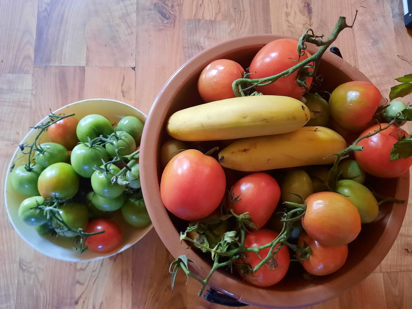 Rohelised tomatid on korjatud samal päeval, kuid selles anumas, mille peal banaanikobar, värvuvad viljad palju kiiremini.