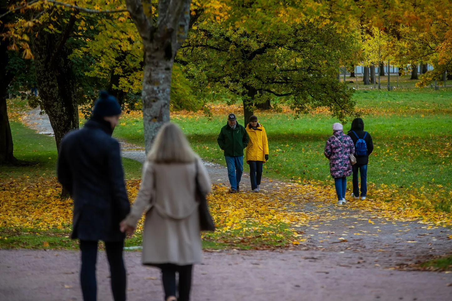 Tallinn 24.10.2020. Sügis Kadriorus.