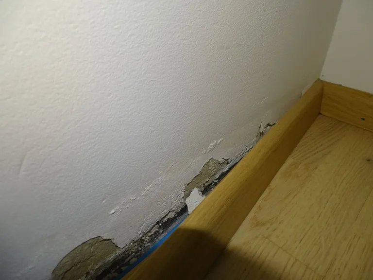 Kahju Tartumaa ridaelamus.