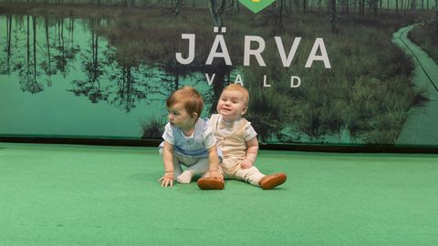Järvamaale sündis 16 last