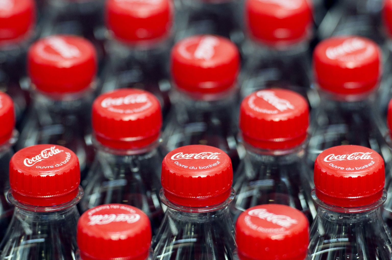 Coca-Cola pudelid.