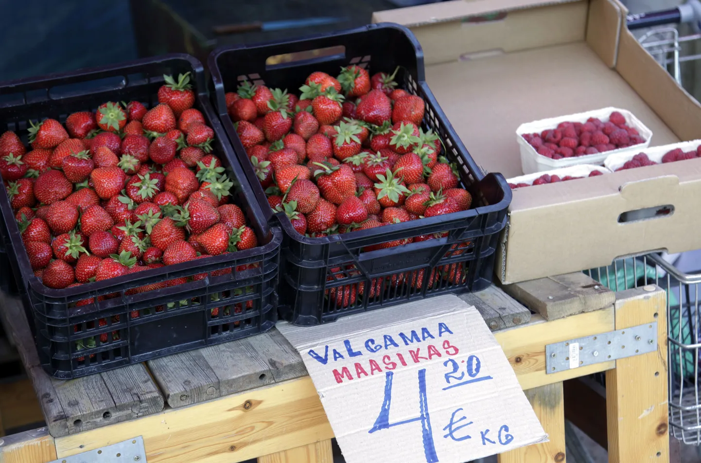 Maasikad Tallinna keskturul.