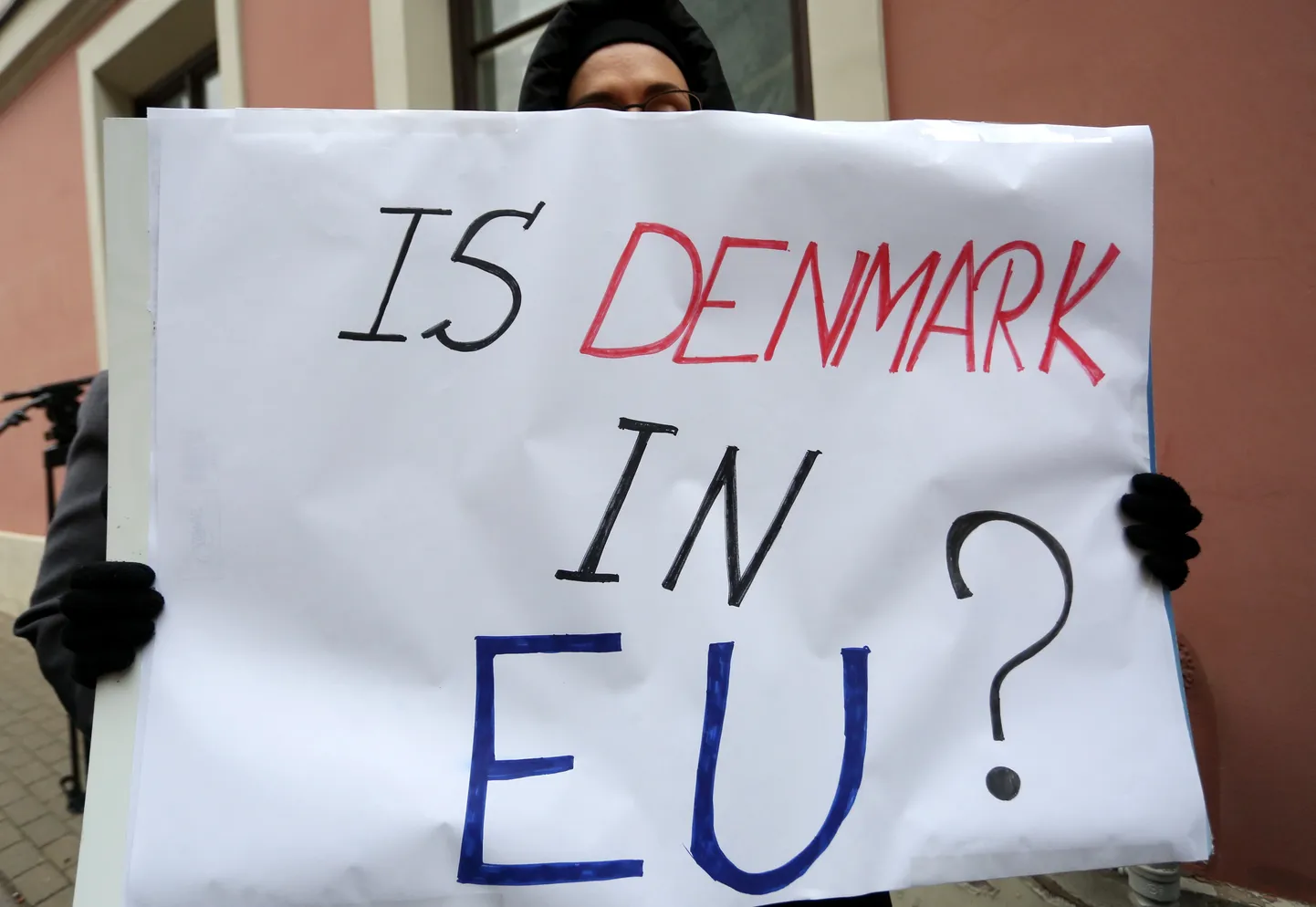 Пикет у посольства Дании в защиту Кристине Мисане. Иллюстративное фото
