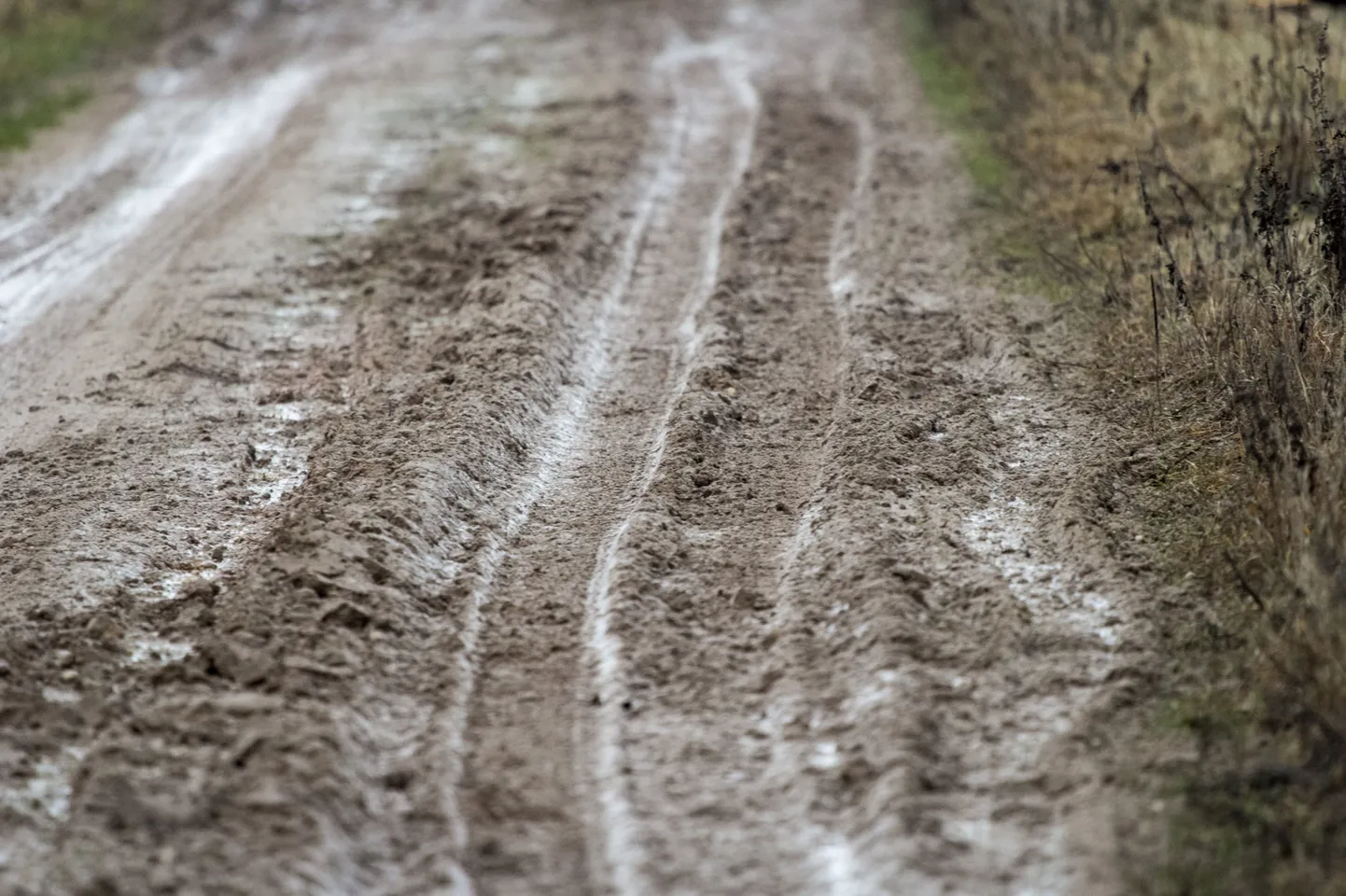 Sangaste vallas, kus see pilt hiljuti tehtud on, võib raskema kui kaheksatonnise mootorsõidukiga vallateedel sõita vaid vallavalitsuse väljastatud eriloa alusel.