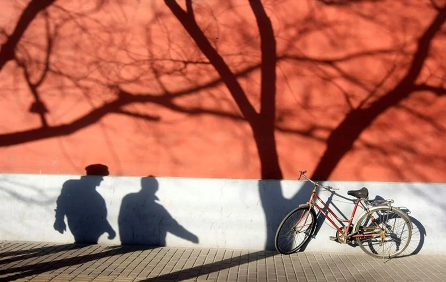 Raksta foto