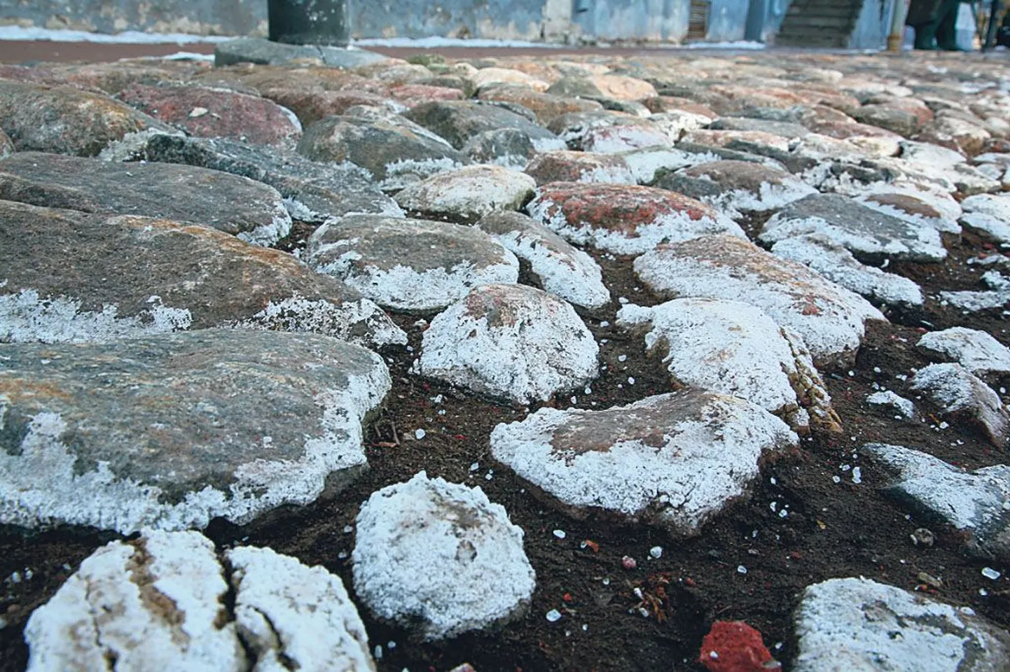 Kivimägi Toomas polnud talvel hoolas, tänavad ta lihtsalt sisse soolas.