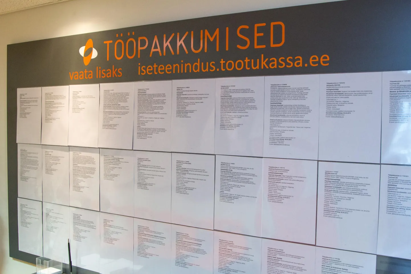 Toetust eraldatakse 13 projektile, mis pakuvad töölesaamist toetavaid hoolekandeteenuseid eakatele, erivajadustega ja toimetulekuraskustega inimestele ja nende pereliikmetele üle kogu riigi.
