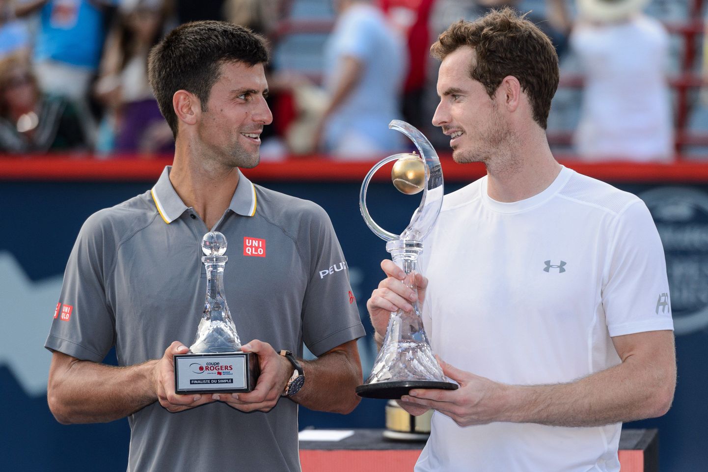 Novak Djokovic ja Andy Murray