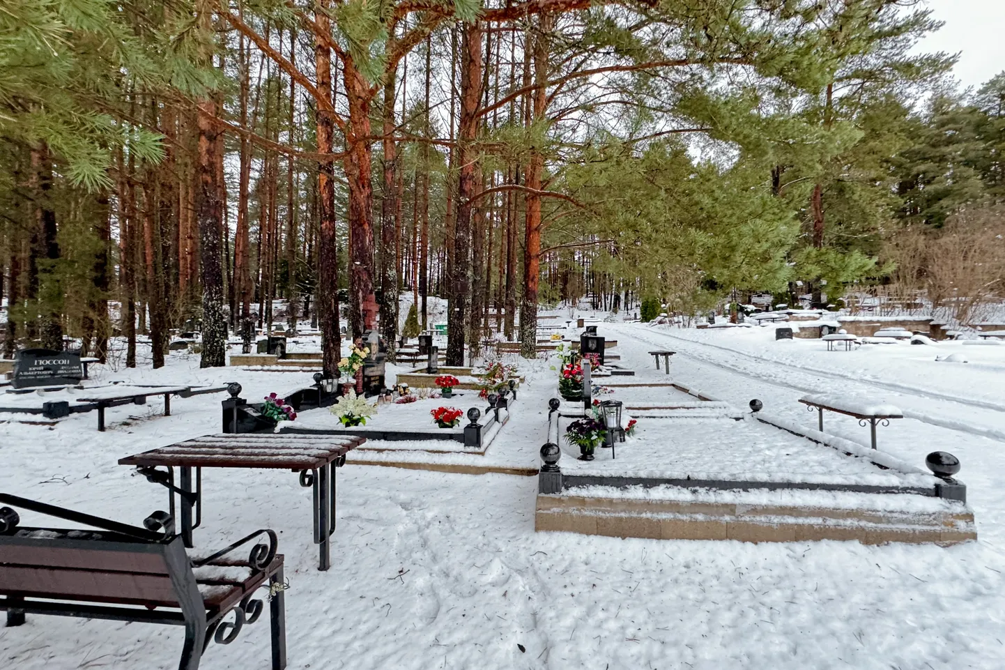 Lumme mattunud Riigiküla kalmistu Narva-Jõesuu ja Narva linna halduspiiril.