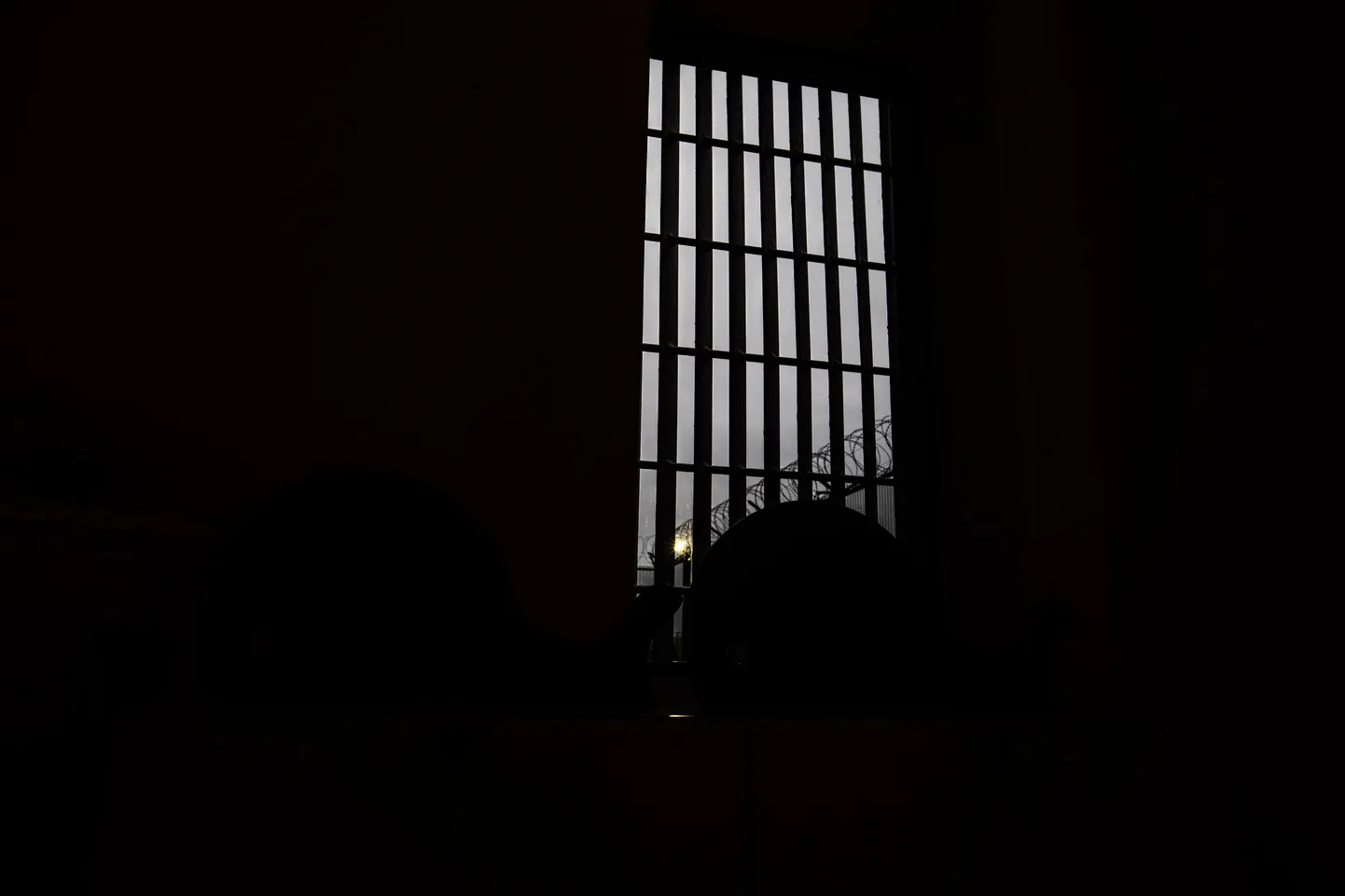 Фото статьи
