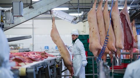 Владелец Раквереского мясокомбината закончил 2018 год с крупным убытком