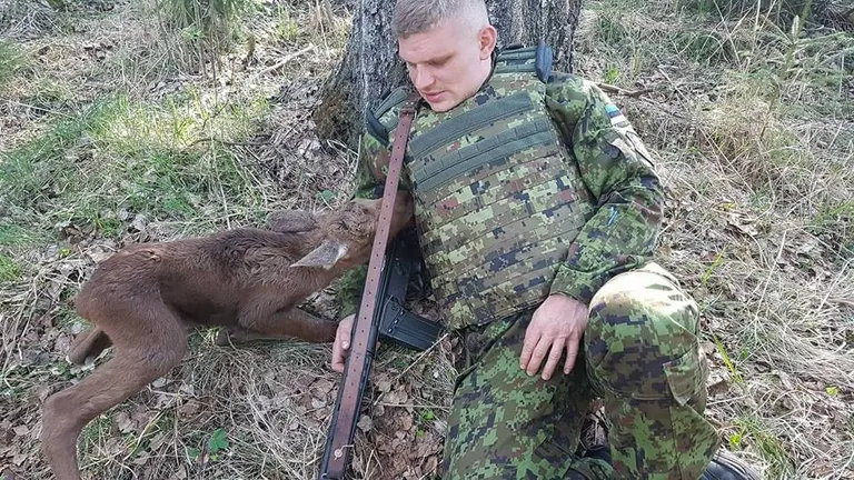 Põdrabeebi kohtub õppusel Siil osaleja Erich Jyri Prikkoga.