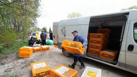 Taudioht ei hirmuta: noorkanu ostetakse kodudesse aina enam