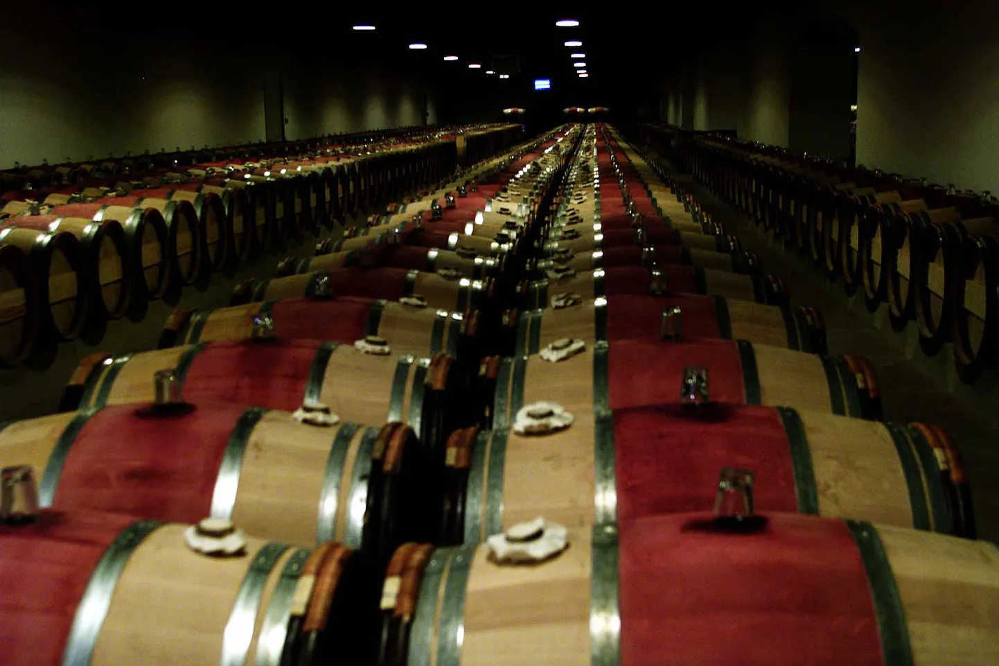 Kvaliteetvein valmimas Bordeaux’s Chateau Latour’ veinimõisa keldris. Sarnase hinnalise viinamarjajoogi pähe villiti Itaalias libaveini, mida müüdi suure raha eest heausksetele klientidele.
