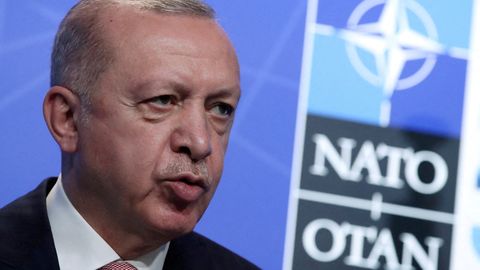 Erdoğani kantselei: Türgi sai, mida tahtis