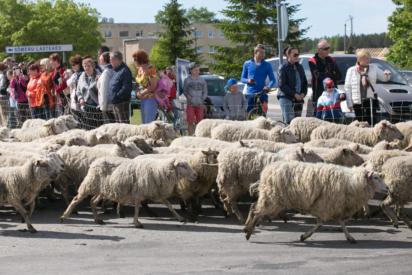 Meenutus eelmiste festivalide päevadest.
