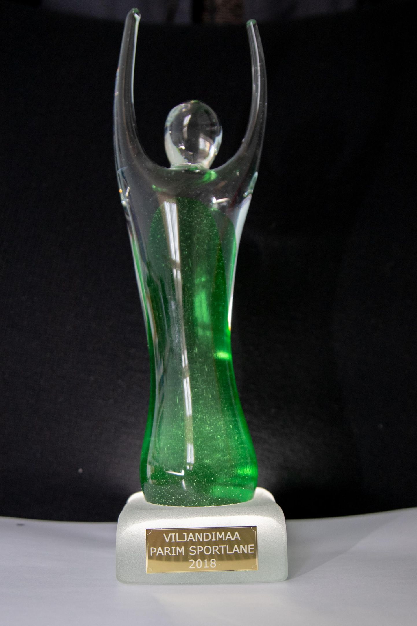 Selle klaasist karika, mis kannab nime Martin, saavad endale 24. jaanuaril Viljandimaa aasta sportlase tiitli võitjad.